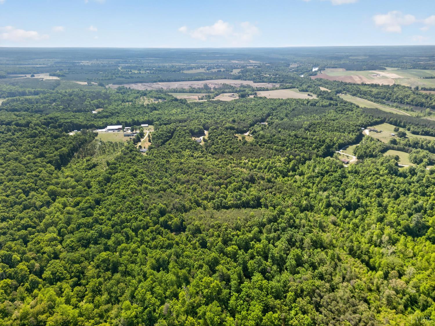 0 Mohawk Road Long Island, VA 24554 - Photo 17 of 23