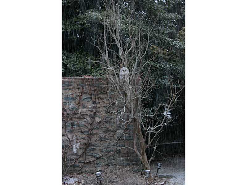 65 Gray Craig Road Middletown, RI 02842 - Photo 20 of 22 Other.