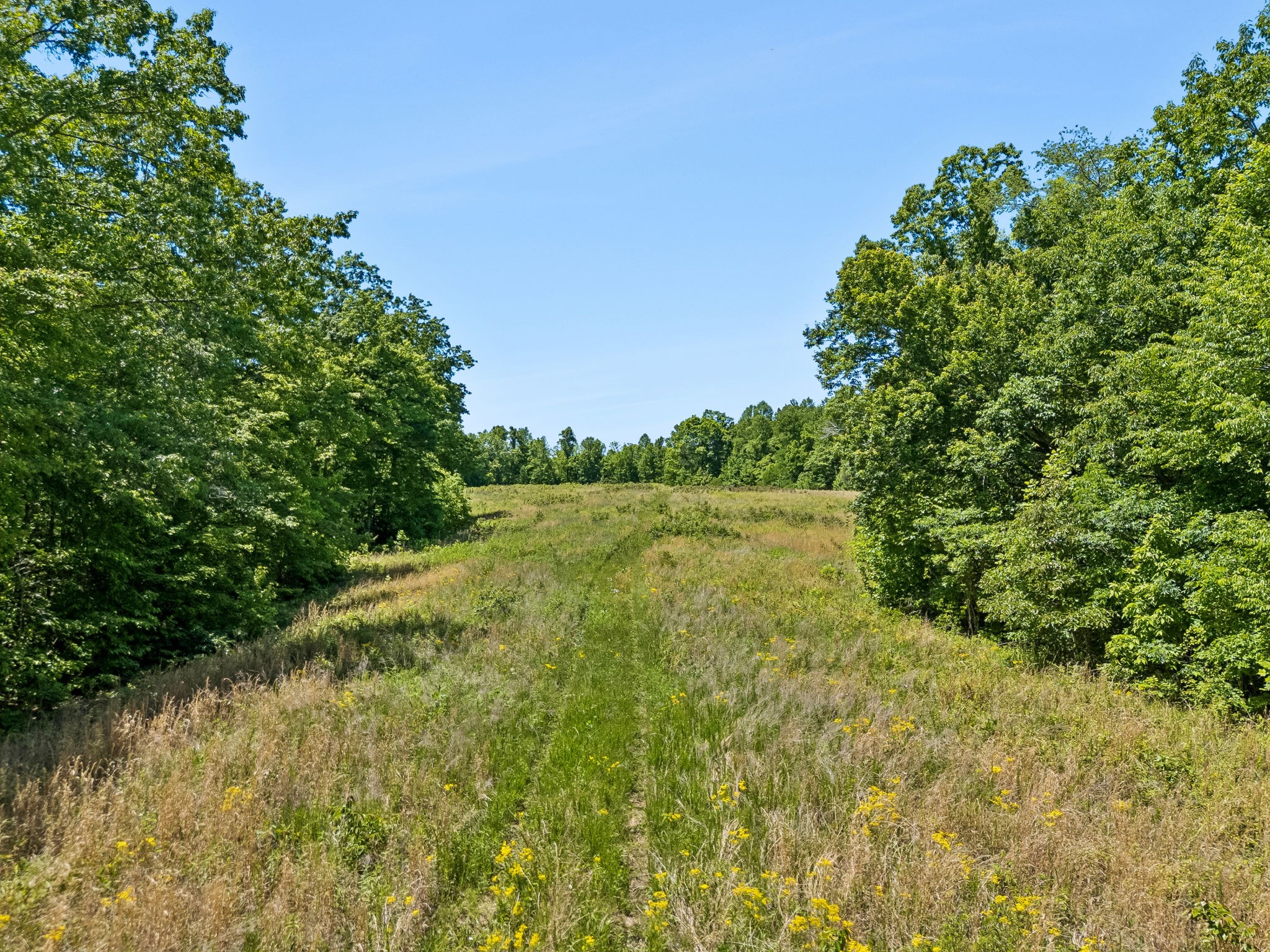 655 Burton Ridge Road Silver Point, TN 38582 - Photo 49 of 64