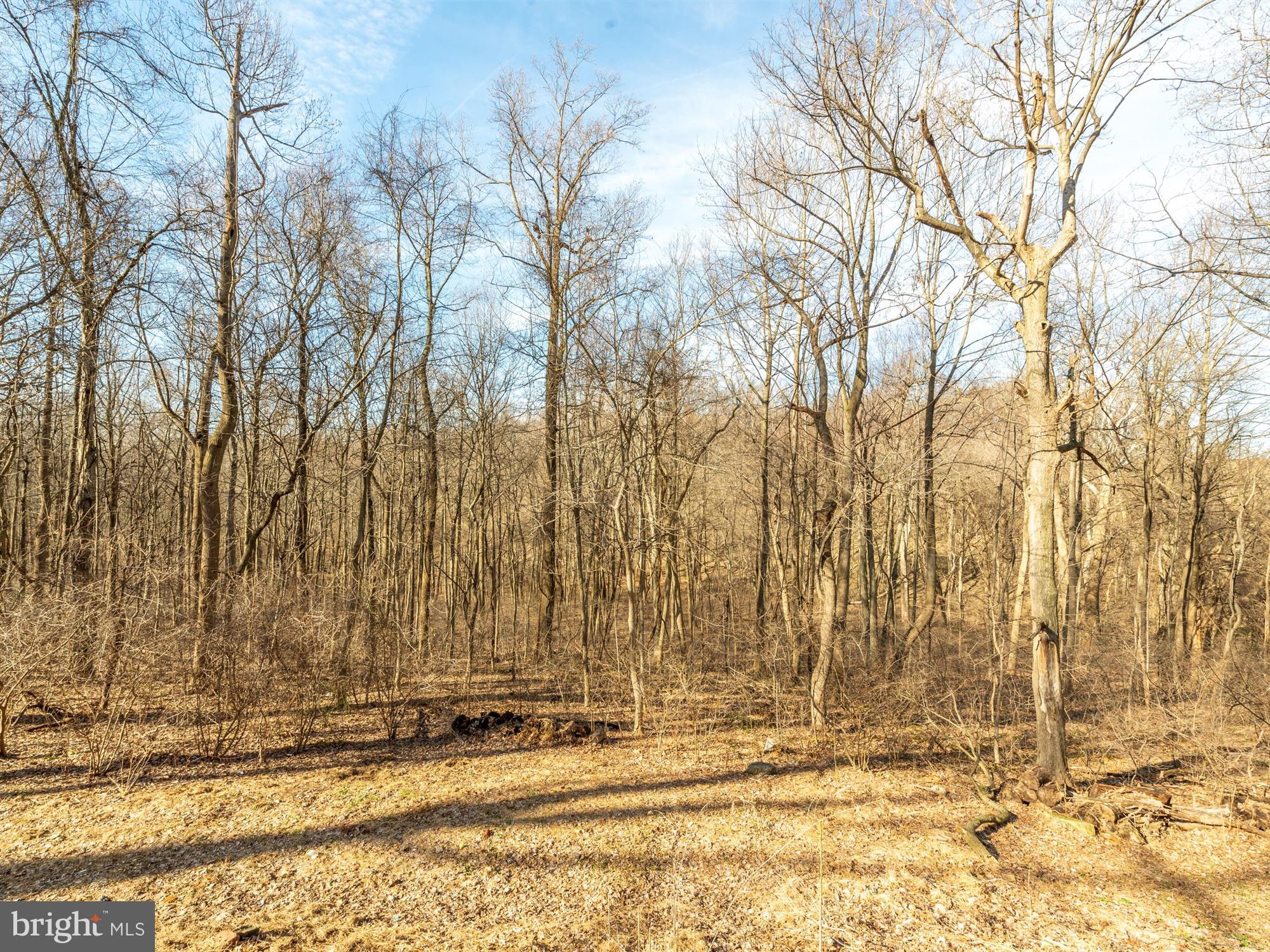 535 River Hill Road Conestoga, PA 17516 - Photo 22 of 27 View