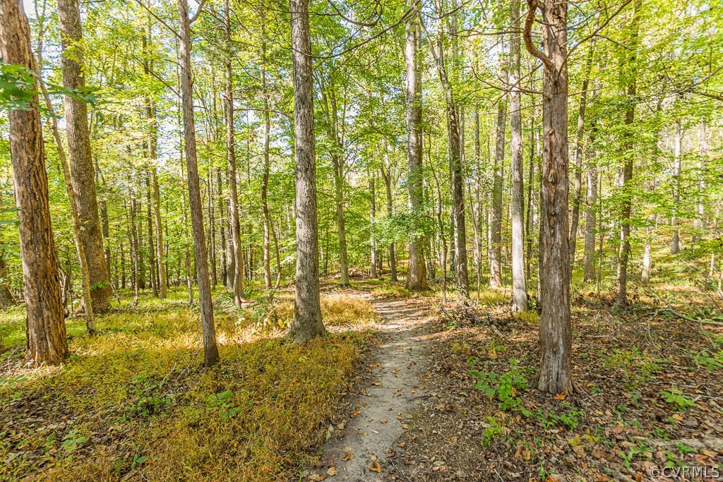 2090 Strawberry Run Crozier, VA 23039 - Photo 46 of 47
