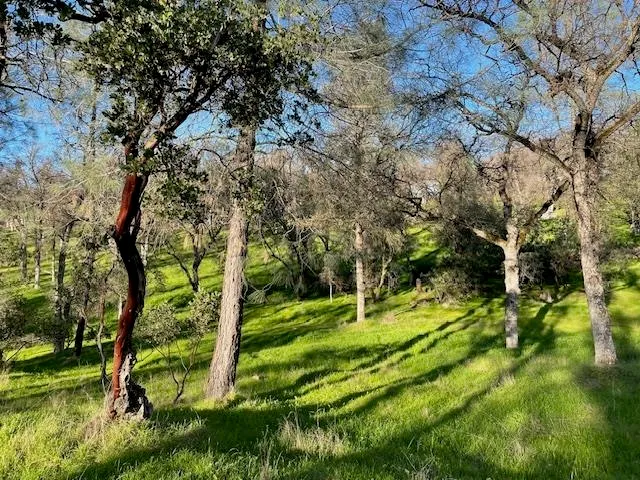 $389,500 | 14138 Park Avenue, Jamestown, CA 95327