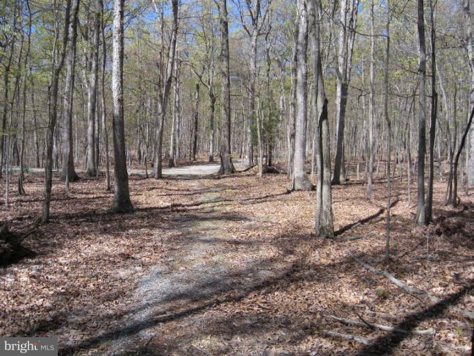 1767 Feltner Road Bluemont, VA 20135 - Photo 20 of 23 View