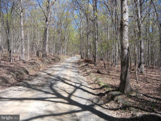 1767 Feltner Road Bluemont, VA 20135 - Photo 21 of 23 View