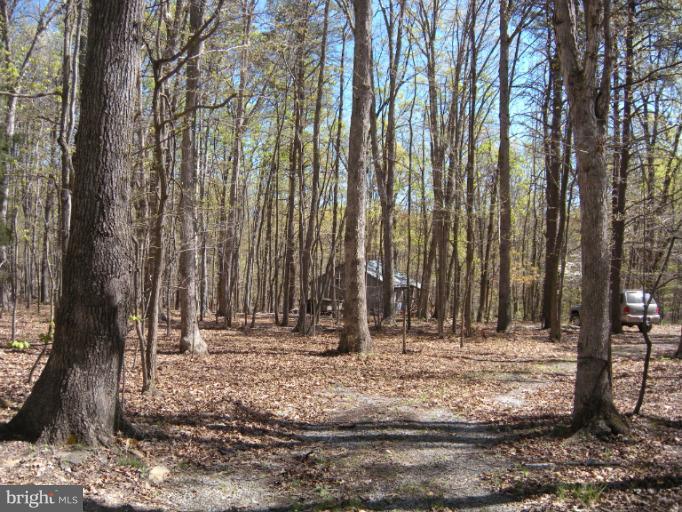 1767 Feltner Road Bluemont, VA 20135 - Photo 23 of 23 View