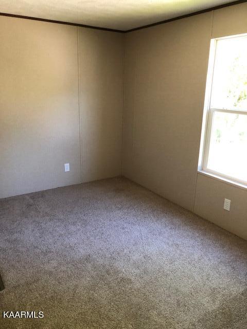 9513 Diggs Gap Road Heiskell, TN 37754 - Photo 4 of 12 bedroom