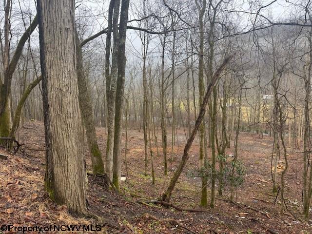 Tbd Irontown Road Independence, WV 26374 - Photo 16 of 30 Gallery Image 16