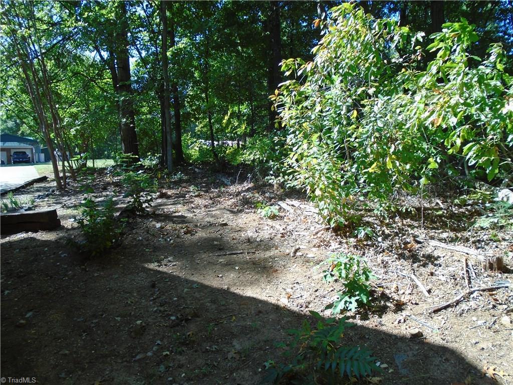 181 County Line Road Reidsville, NC 27320 - Photo 5 of 22 Gallery Image 5
