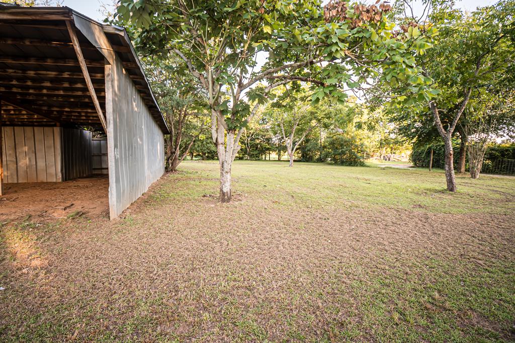 204 Pybus Road Cottonwood, AL 36320 - Photo 45 of 47