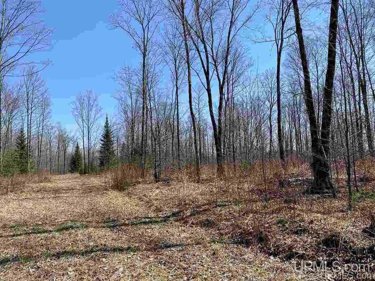 Off Nelson Road Glidden, WI 54527 - Photo 11 of 23