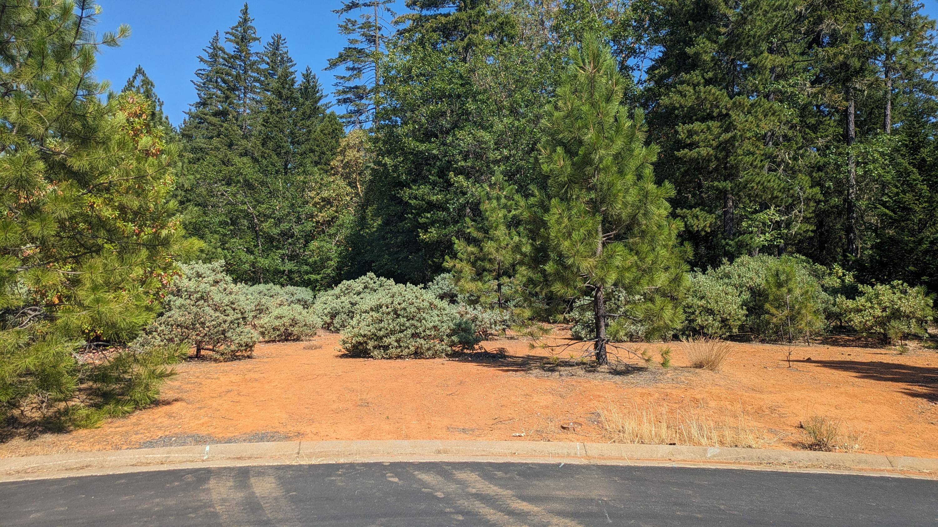 368 Cedar Ridge Drive Cave Junction, OR 97523 - Photo 1 of 1 PXL_20240712_172035228