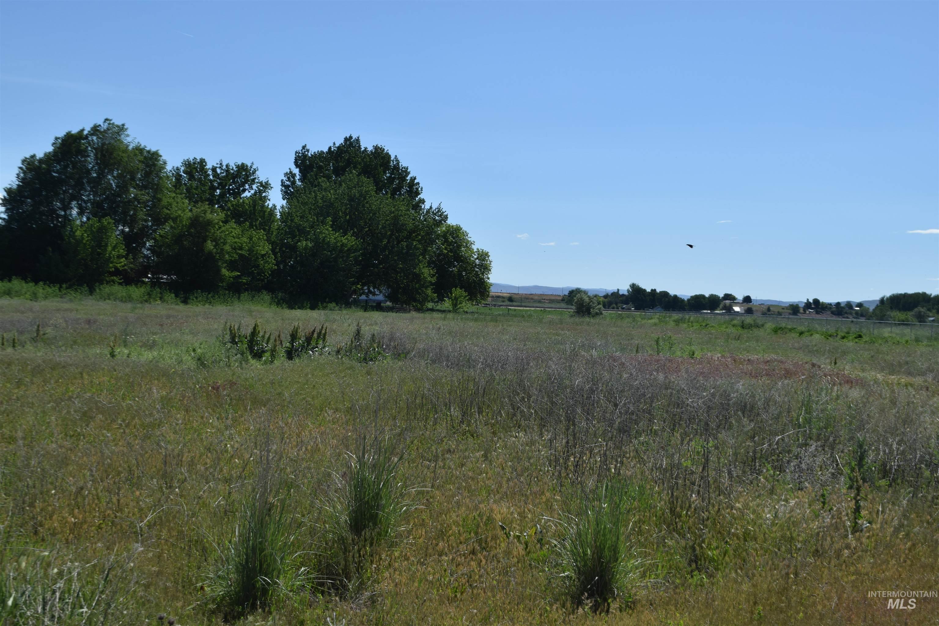 Tbd Couper Lane Weiser, ID 83672 - Photo 5 of 8
