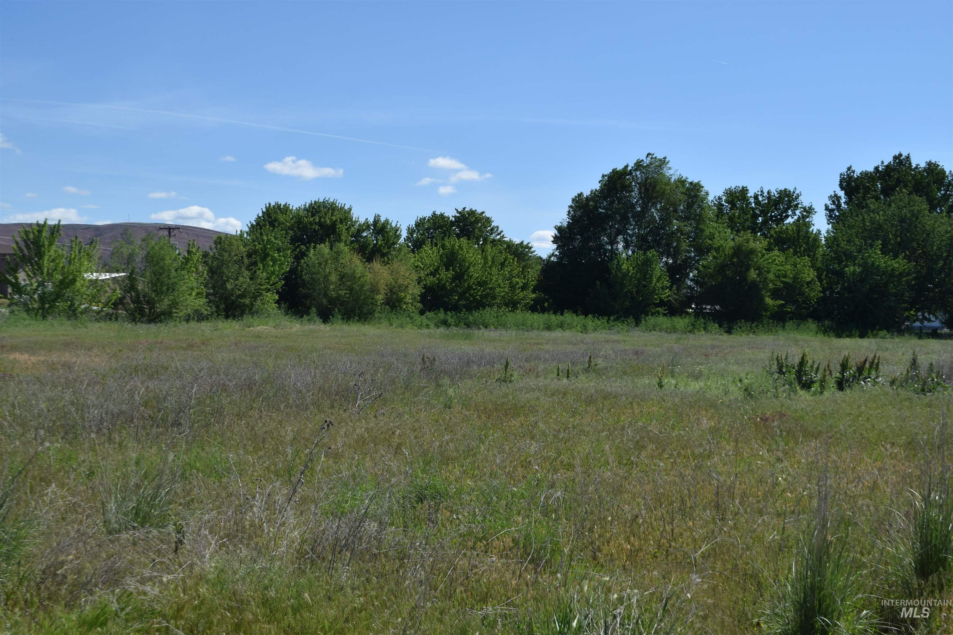 Tbd Couper Lane Weiser, ID 83672 - Photo 6 of 8