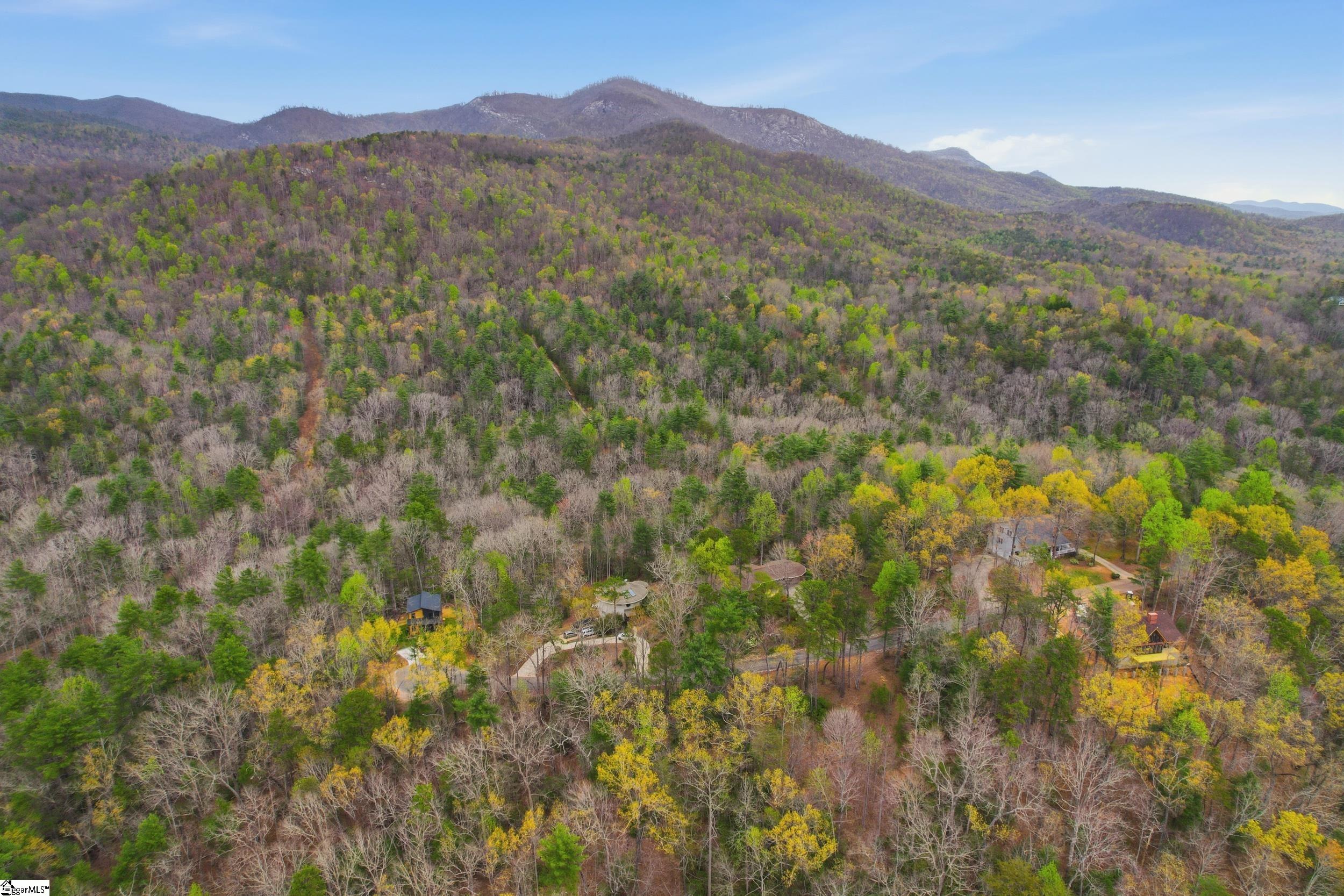 209 Falcon Crest Way Pickens, SC 29671 - Photo 2 of 39