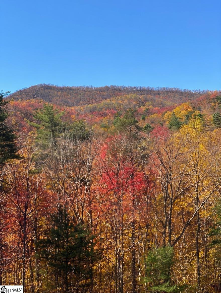 209 Falcon Crest Way Pickens, SC 29671 - Photo 9 of 39