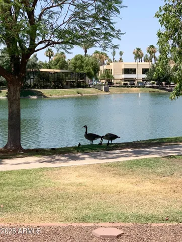 a front view of a house with a garden and yard