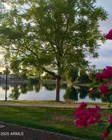a view of a chairs and table in the patio