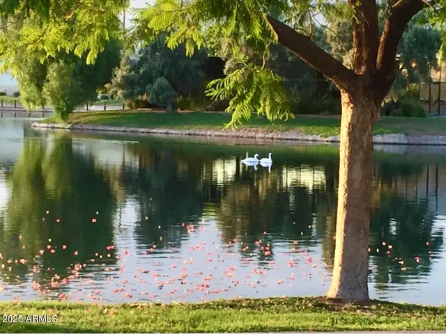 a lake view with a fountain