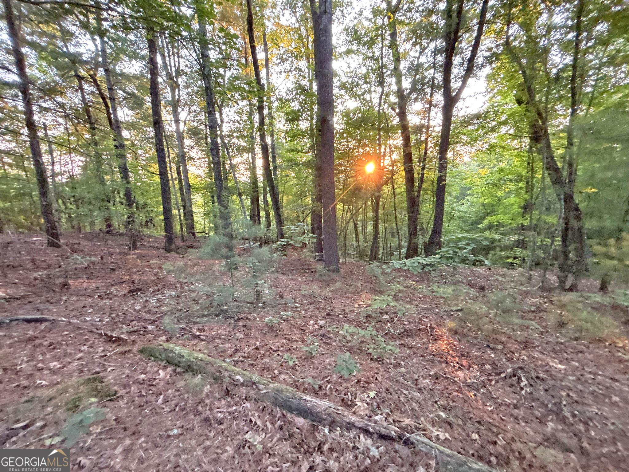 Lot 18 Mt Springer Road Ellijay, GA 30540 - Photo 23 of 31