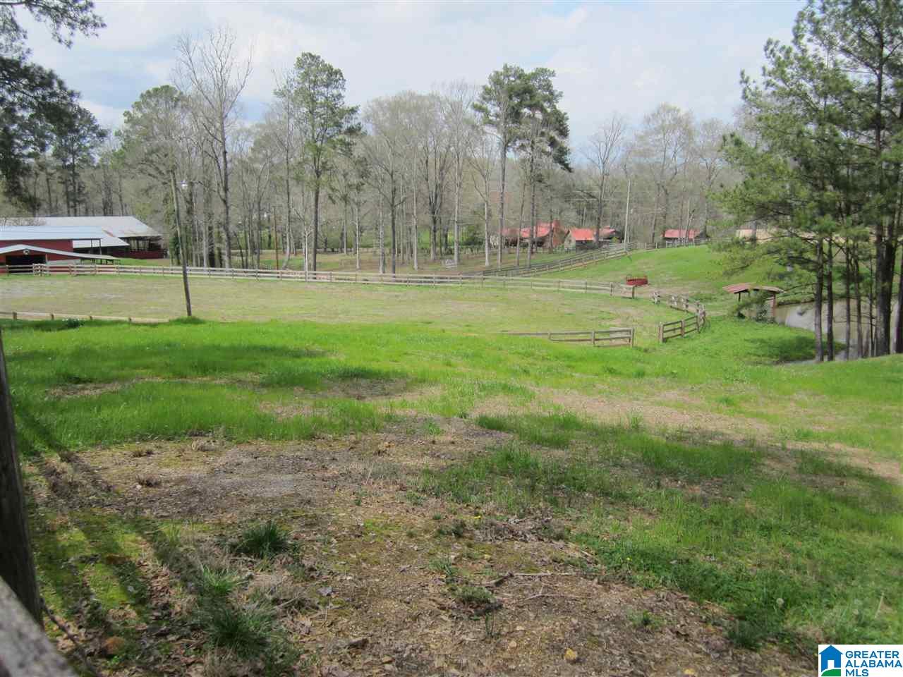 8460 Wolf Creek Road South Pell City, AL 35128 - Photo 20 of 49