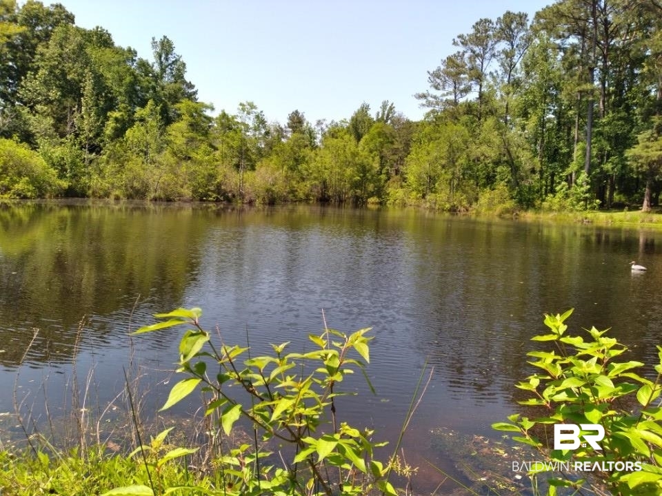 9 Pierce Lane Castleberry, AL 36432 - Photo 6 of 50