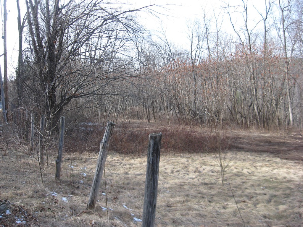 Lot 22 Bacon Road Ware, MA 01082 - Photo 1 of 5 a view of a yard