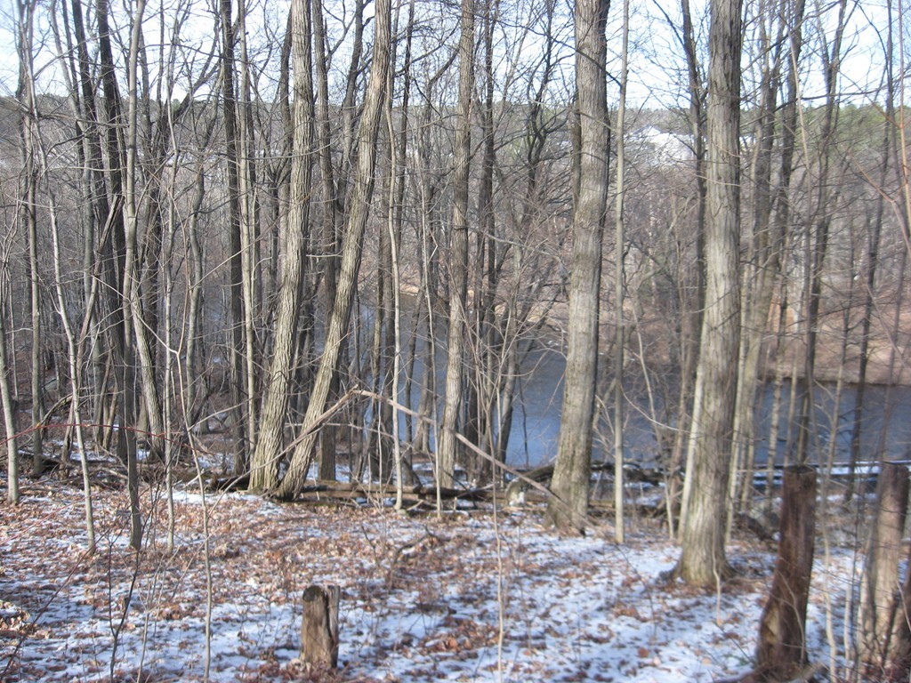 Lot 22 Bacon Road Ware, MA 01082 - Photo 3 of 5 a wooden bridge with trees in the background