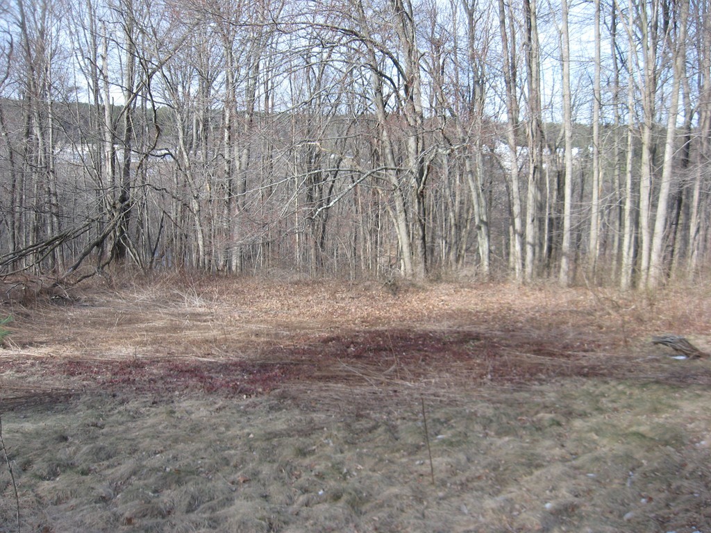 Lot 22 Bacon Road Ware, MA 01082 - Photo 5 of 5 a view of a backyard