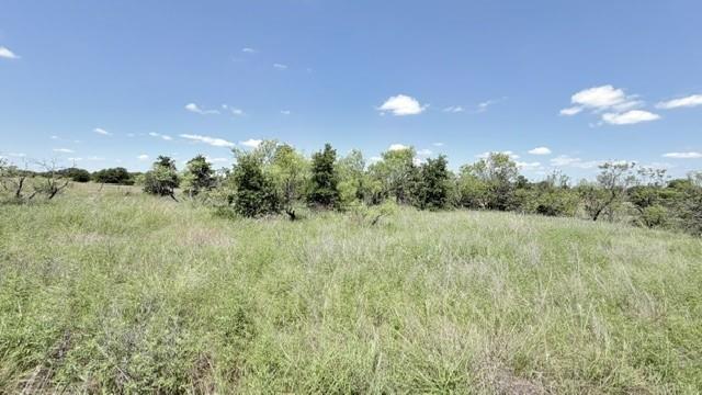 0 Ambruss Jones Road Bellevue, TX 76228 - Photo 5 of 12