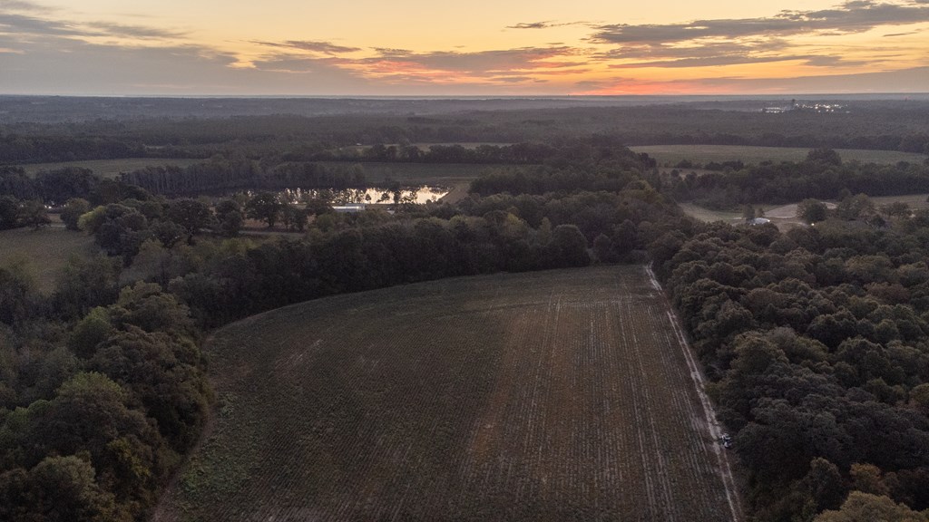 0 South County Road 83 Samson, AL 36477 - Photo 5 of 8