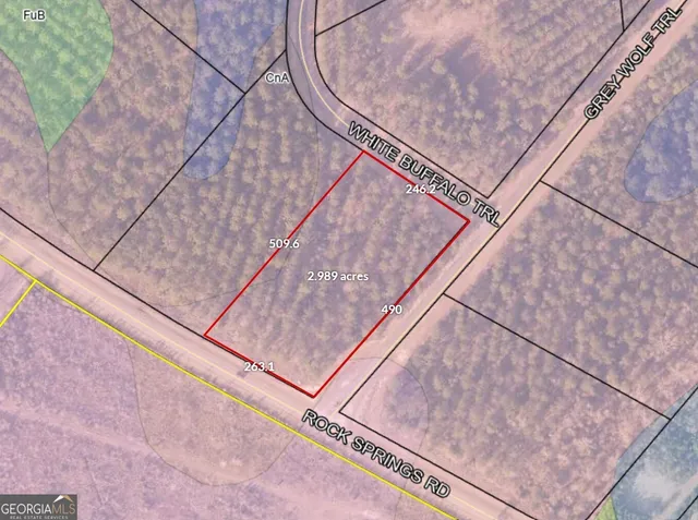 a view of wooden floor