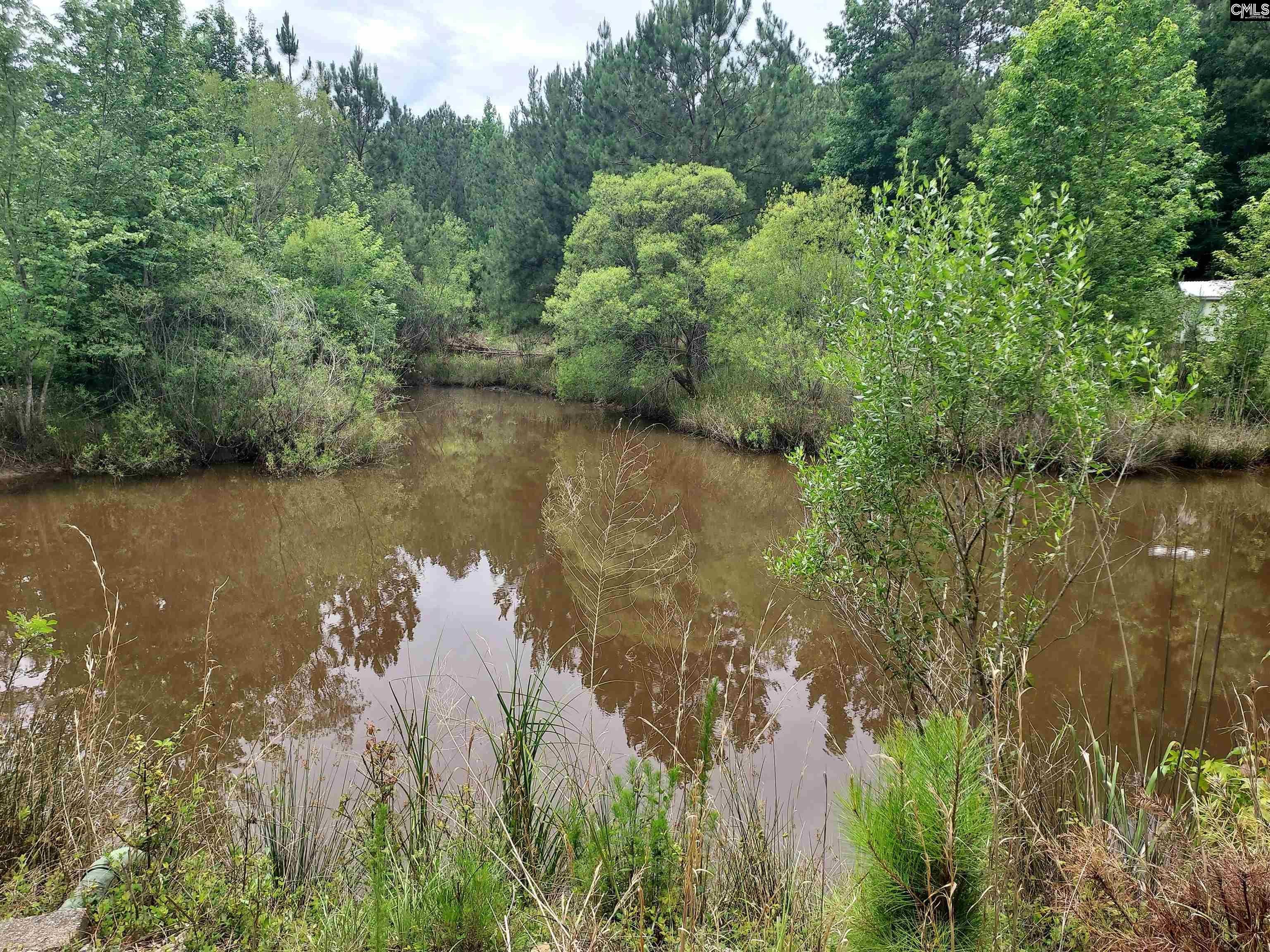 1020 Pine Bark Road Camden, SC 29020 - Photo 3 of 19 Gallery Image 3