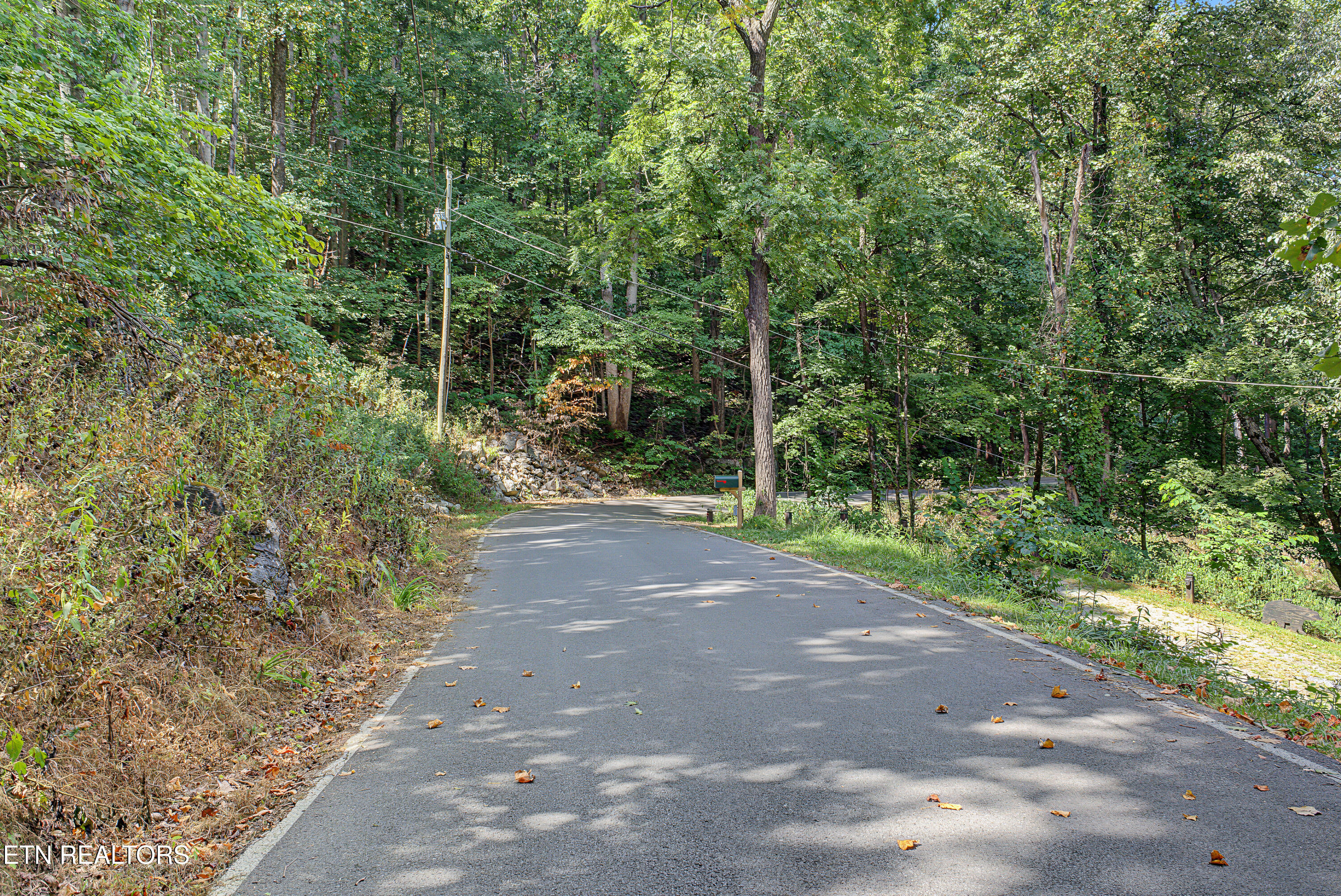 Old Cades Cove Road Townsend, TN 37882 - Photo 4 of 15 View of lower edge of property