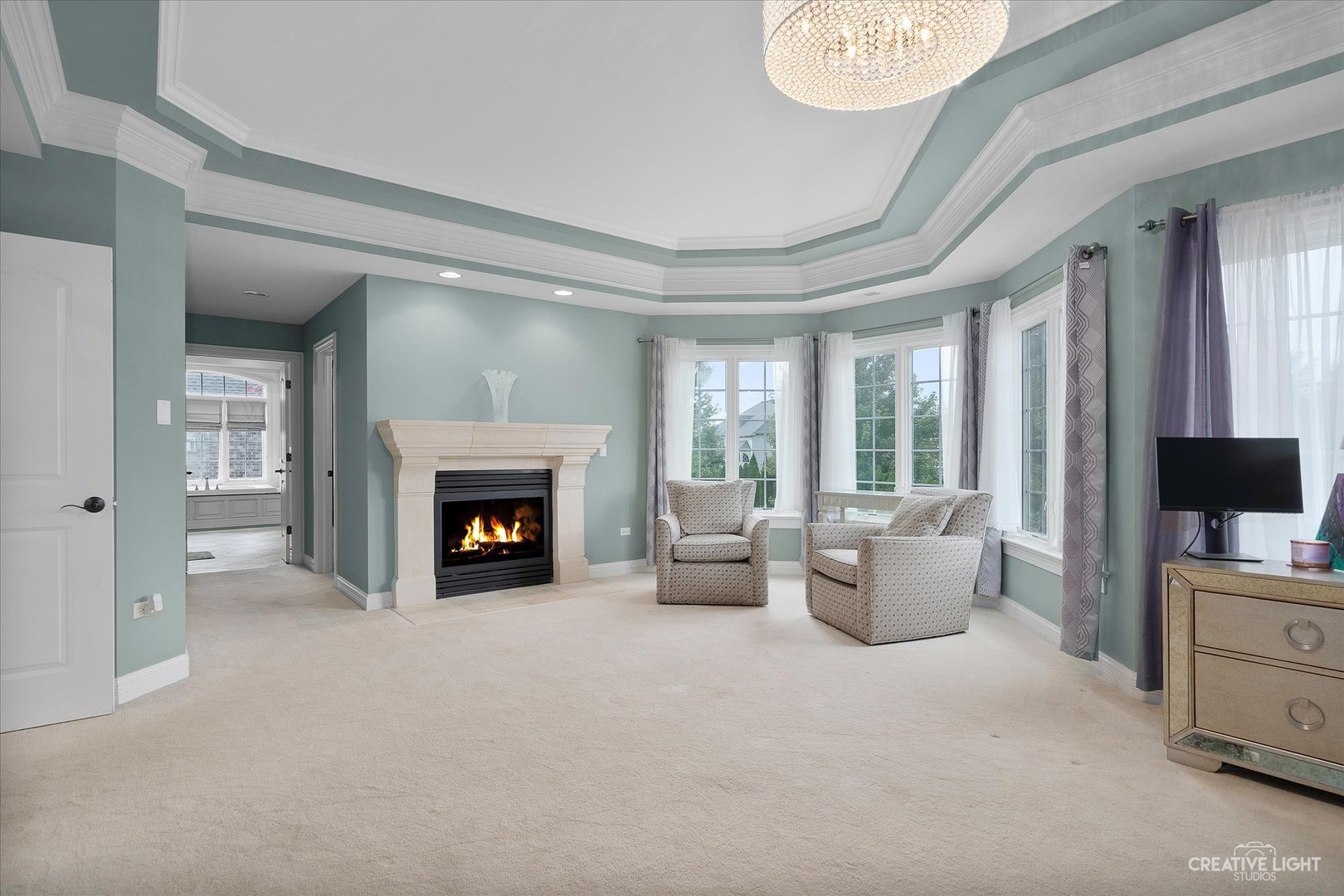 4520 Corktree Road Naperville, IL 60564 - Photo 16 of 50 a living room with furniture and a fireplace