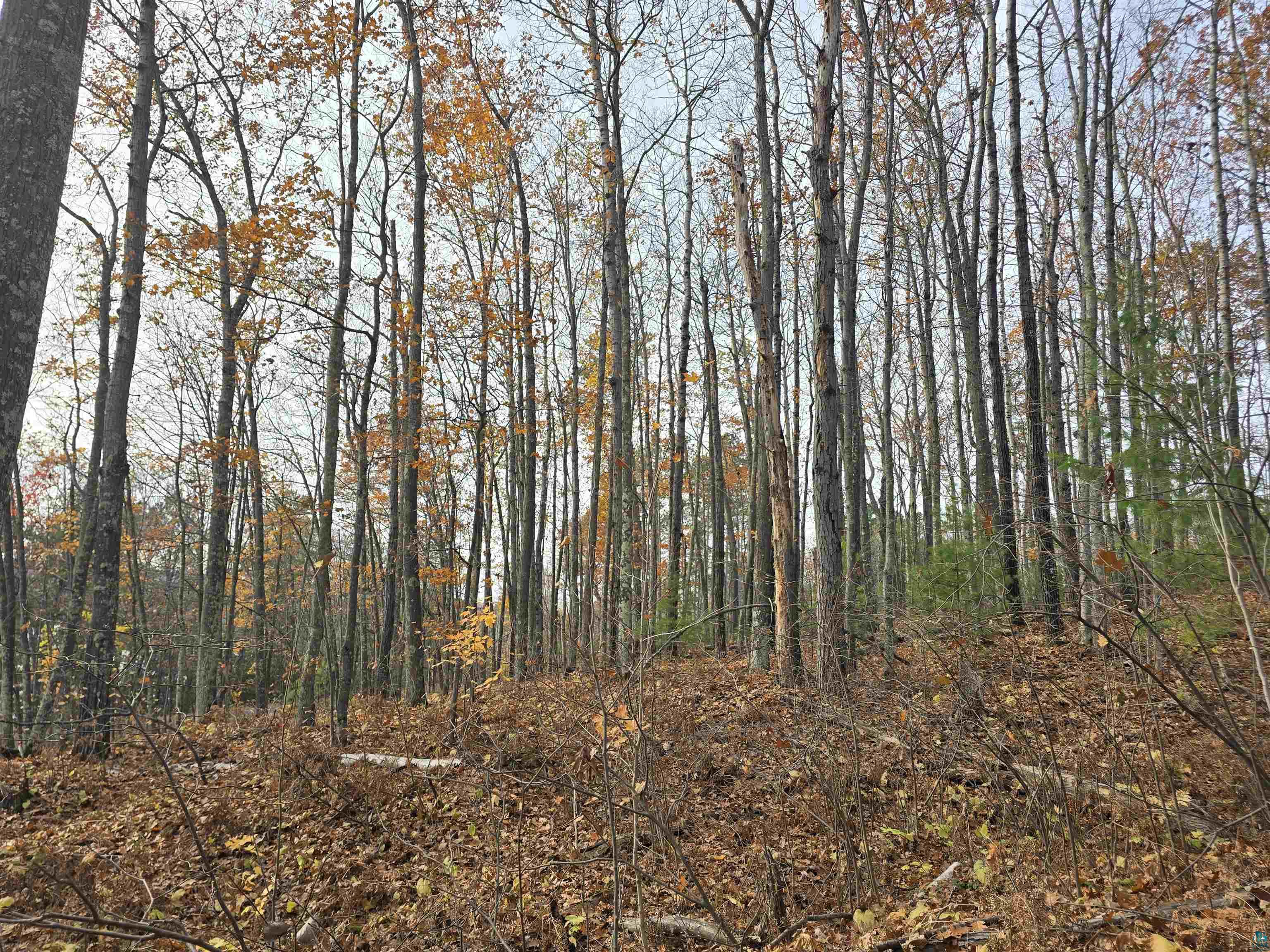 Lot 12 Chequamegon Road Bayfield, WI 54814 - Photo 21 of 22 View of landscape