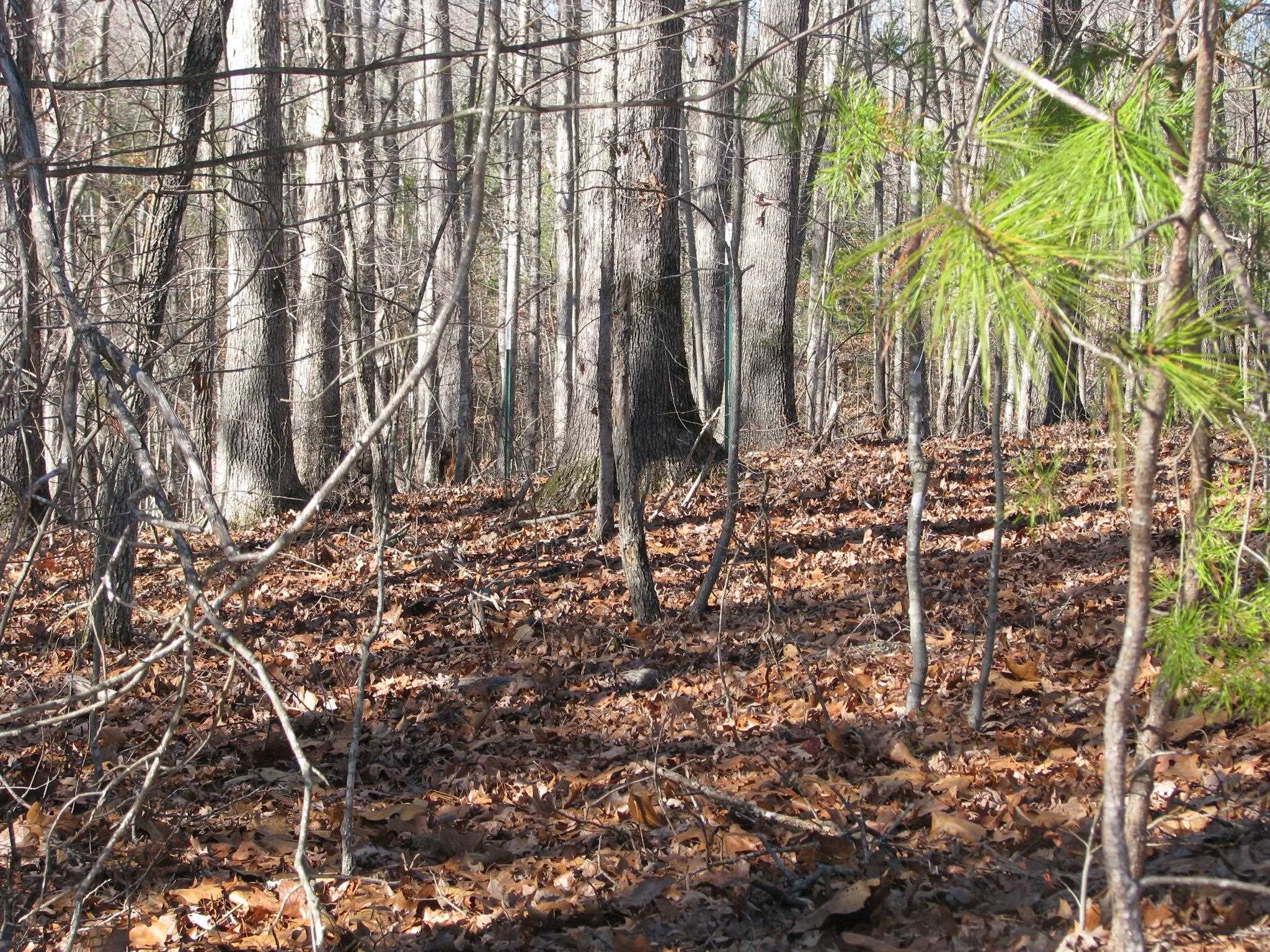 0 Vienna Rd 71.31 Acres Gaffney, SC 29340 - Photo 3 of 5 Gallery Image 3
