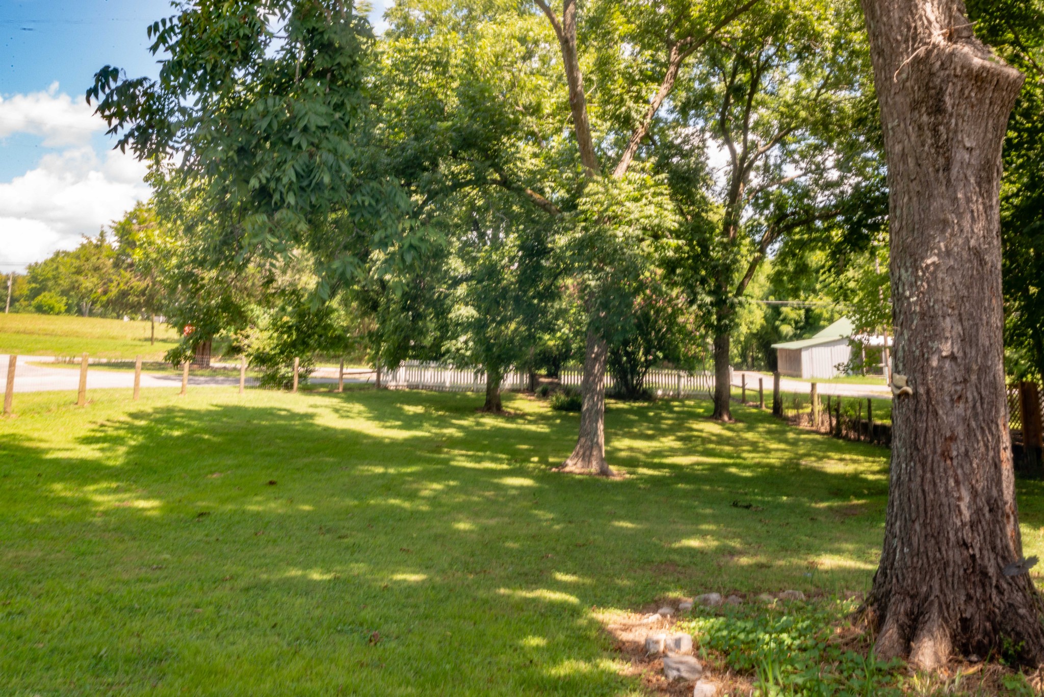 101 Rowesville Road Normandy, TN 37360 - Photo 33 of 47 a view of a trees in a yard