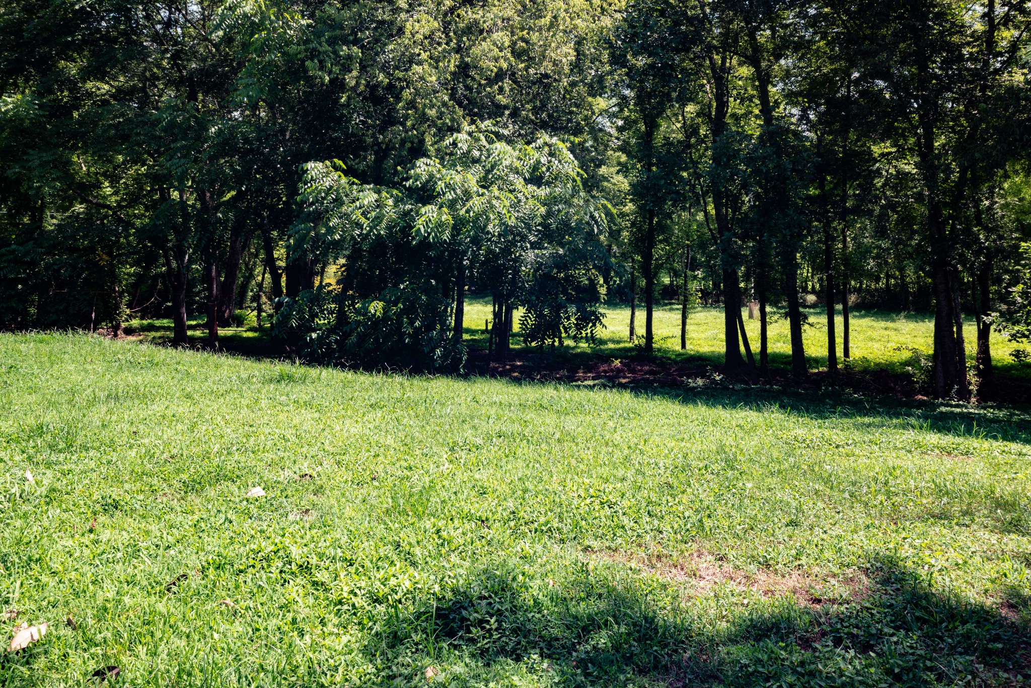 101 Rowesville Road Normandy, TN 37360 - Photo 35 of 47