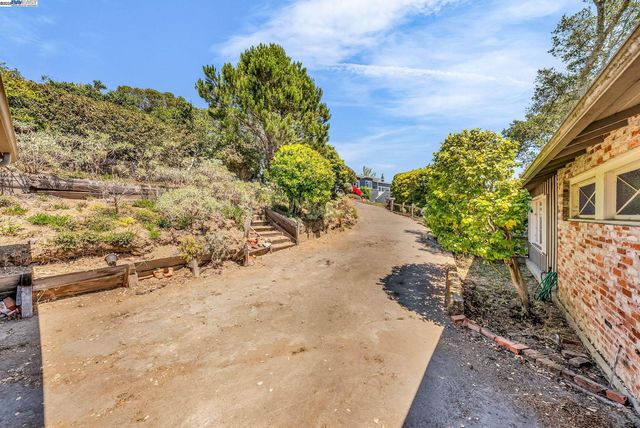 a view of a yard with plants and wooden fence
