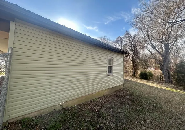 a view of a backyard with a large tree