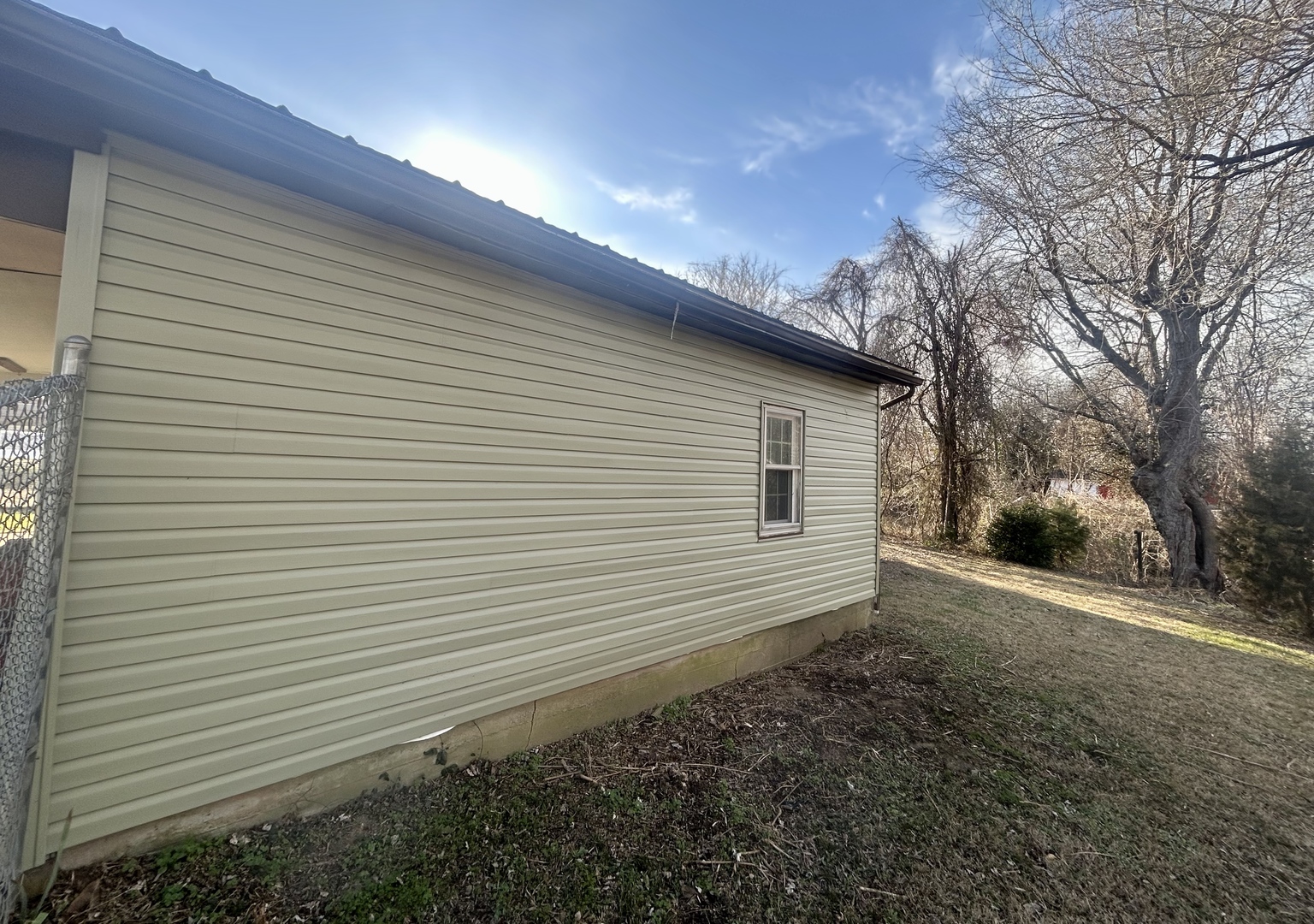 207 Butler Street Metropolis, IL 62960 - Photo 6 of 28 a view of a backyard with a large tree