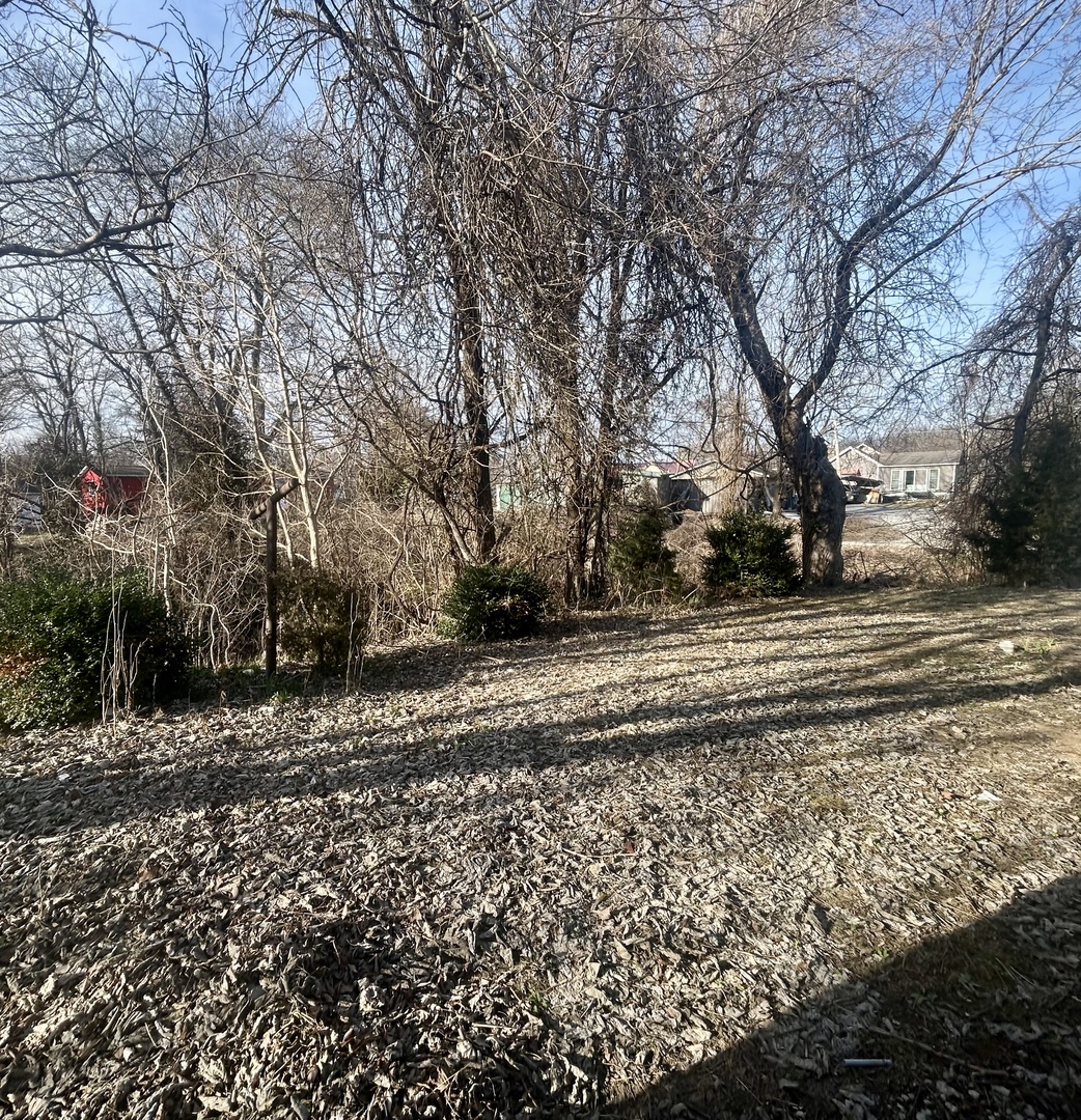 207 Butler Street Metropolis, IL 62960 - Photo 8 of 28 a view of dirt yard with large trees