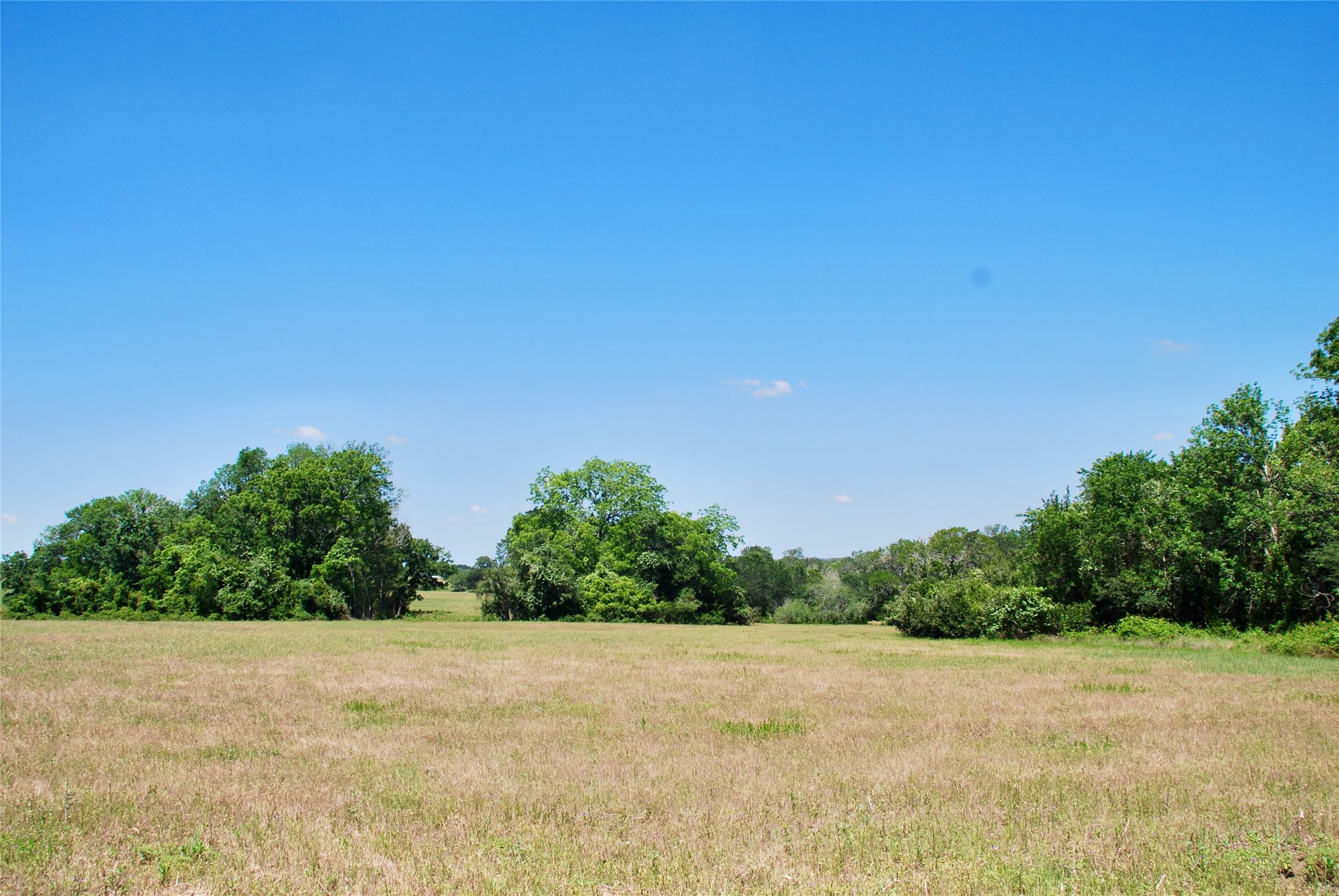 1049 Muehr Road Weimar, TX 78962 - Photo 10 of 24 a view of a field with plants and trees in the background