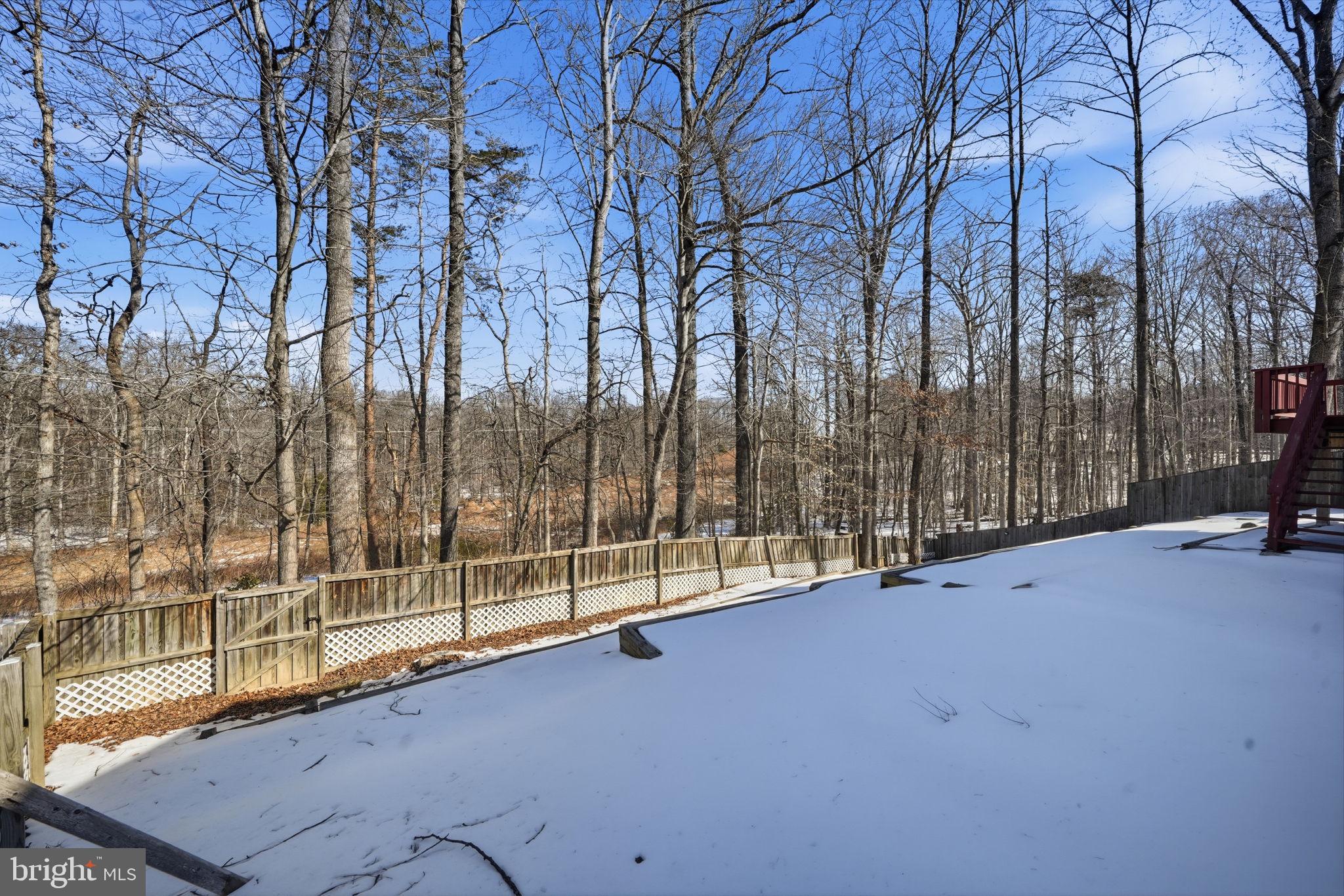 8303 White Star Court Springfield, VA 22153 - Photo 51 of 52