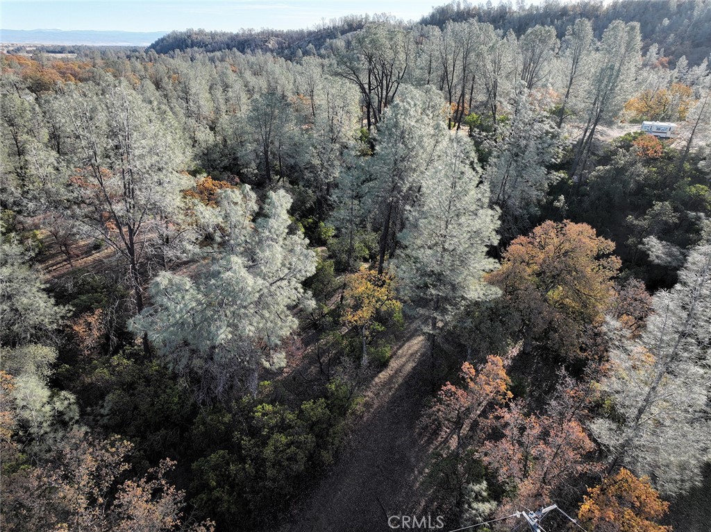 15785 Placer Court Corning, CA 96021 - Photo 13 of 24 a view of a house with a forest