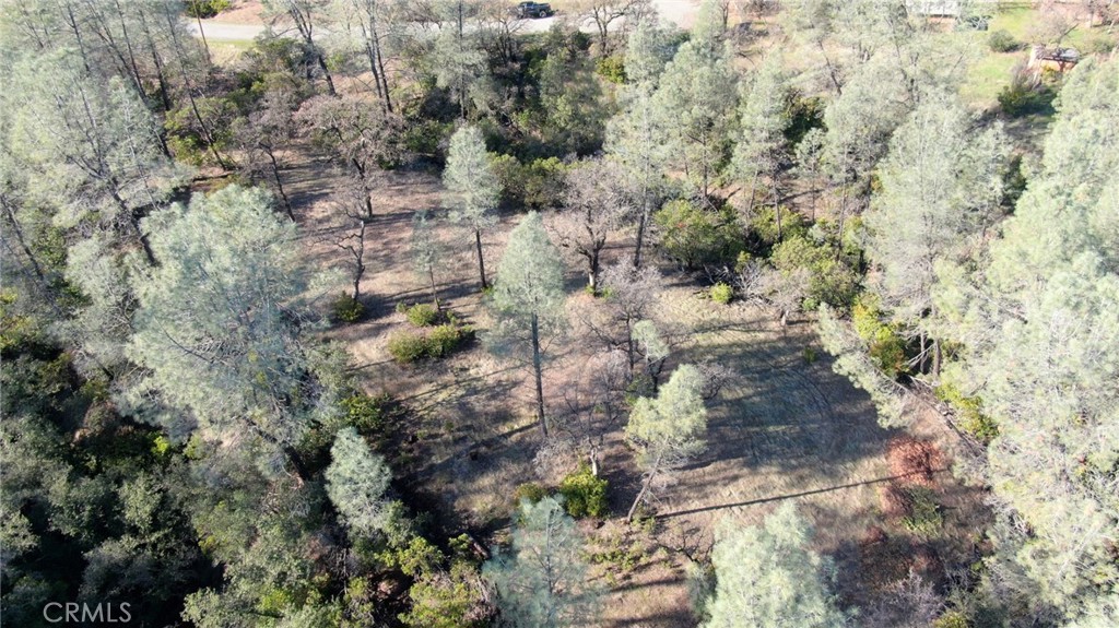 15785 Placer Court Corning, CA 96021 - Photo 14 of 24 a view of a yard with a plants