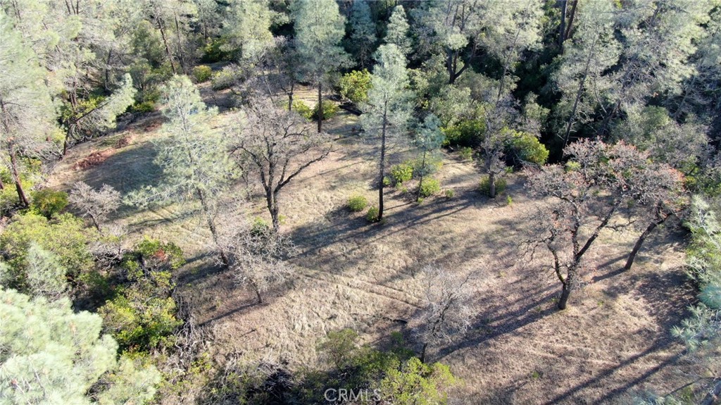 15785 Placer Court Corning, CA 96021 - Photo 15 of 24 a view of a yard with plants and tree