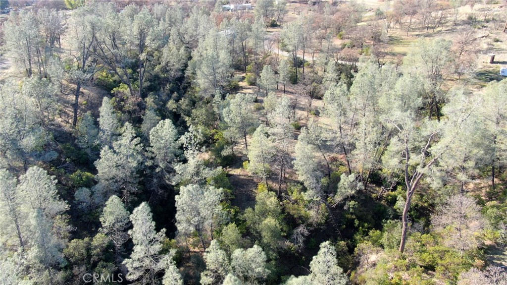 15785 Placer Court Corning, CA 96021 - Photo 18 of 24 a view of a forest