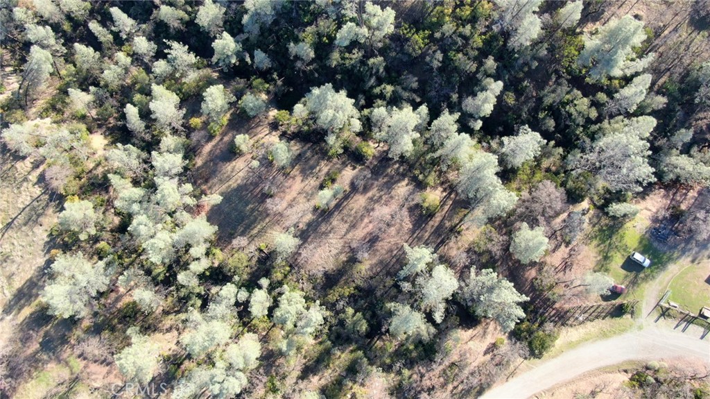 15785 Placer Court Corning, CA 96021 - Photo 19 of 24 a view of a tree
