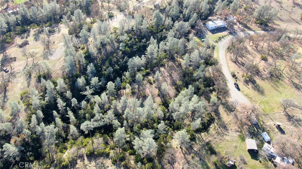 15785 Placer Court Corning, CA 96021 - Photo 20 of 24 a view of a forest